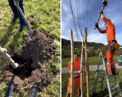 Impressionen vom Pflanztag am Grabebach (Bildmaterial bereitgestellt von den Lernenden der H+R Architekten AG)